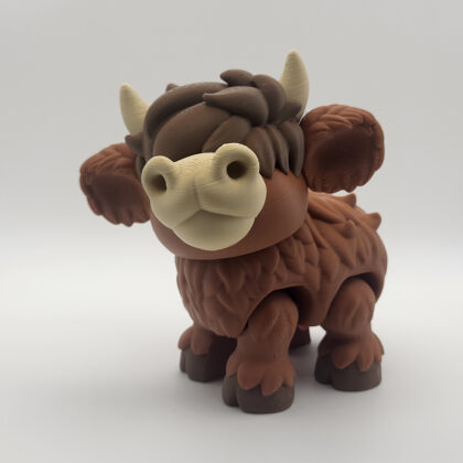 Shaggy Highland Cow