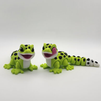 Spotted Gecko